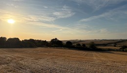 Hereford Monitor Farm: Building farm resilience for a changing climate